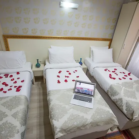 Hotel Vizyon
