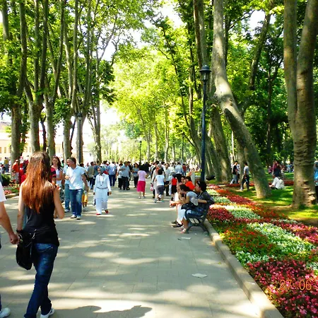 Hotel Vizyon 3*