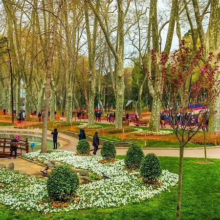 Hotel Vizyon 3*